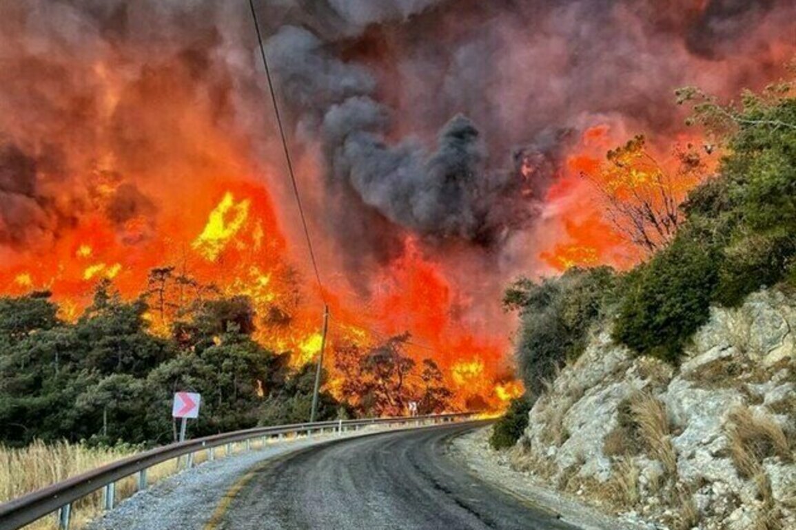 Massive Wildfires Threaten Bursa As Turkey Declares Disaster Zones