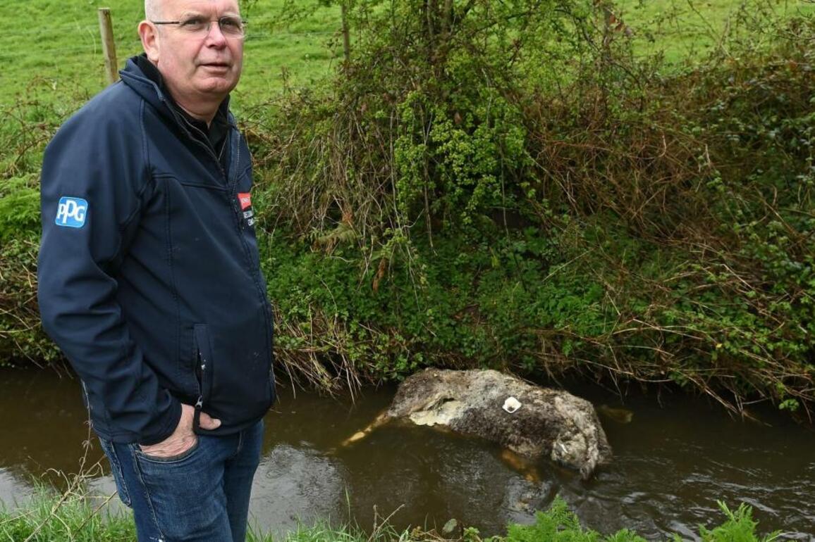 Locals express concern as dead animals illegally dumped