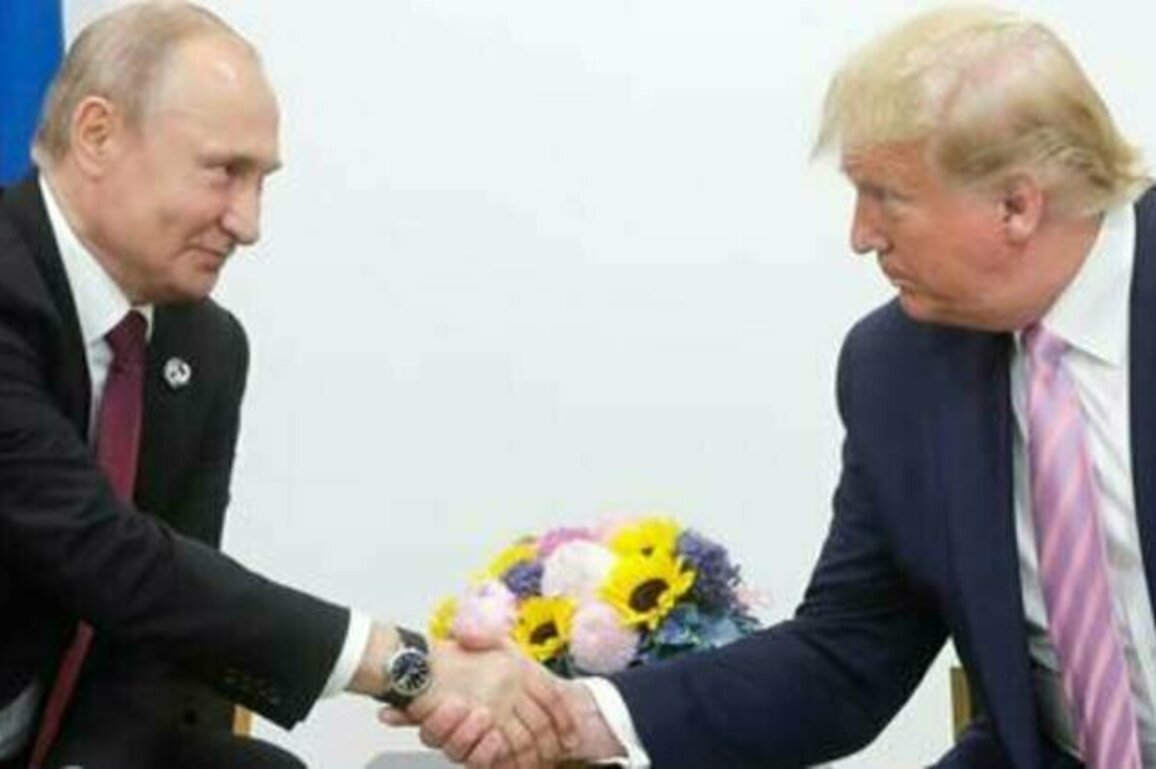 Putin speaks of 'great respect' for Trump