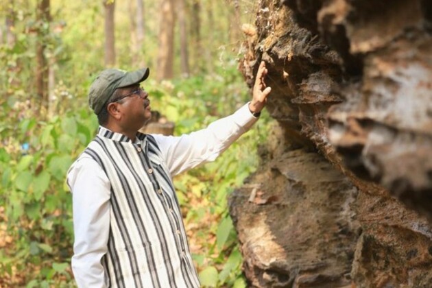 Union Min Dharmendra Pradhan pushes for world-class development of prehistoric 'Bhima Mandali' site