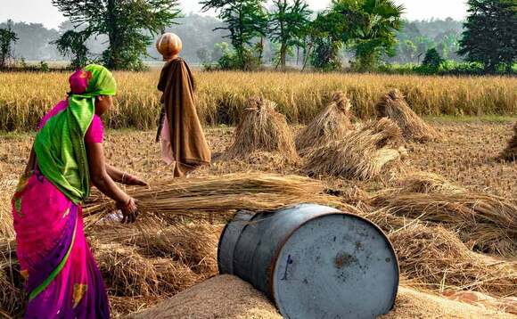 Covid-19 opportunity to transform India's farming sector