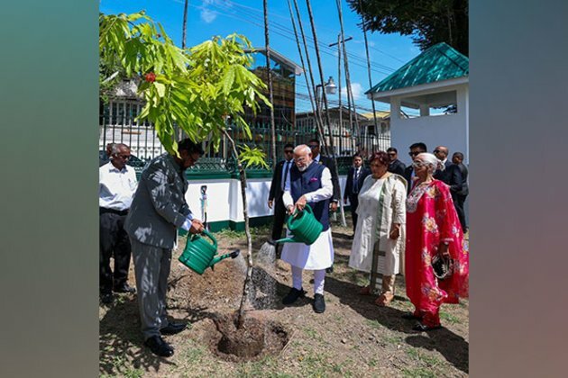 "Shared commitment to sustainability": PM Modi, Guyana President Ali plant sapling under 'Ek Ped Maa Ke Naam'