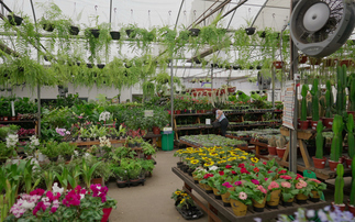 'This isn't an isolated issue': 'Harsher' weather rearranging florist and garden centre sales mix