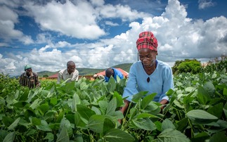 Gov supports Zambian farmers to go green