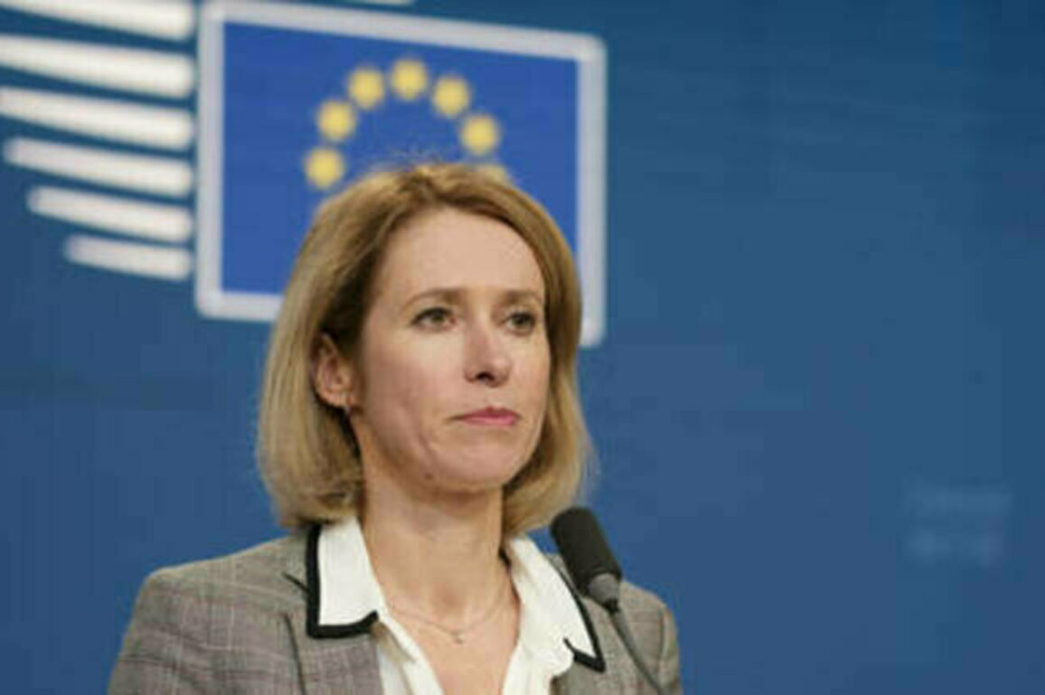NATO will 'survive' Trump - EU's top diplomat