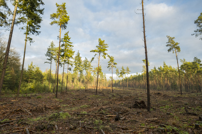 The hidden cost of nature loss