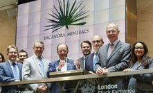 Bacanora is listed in London and Toronto  