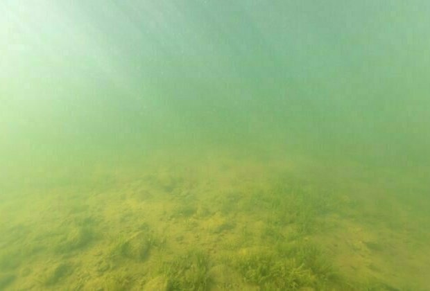 Lake beds are rich environmental records - studying them reveals much about a place's history