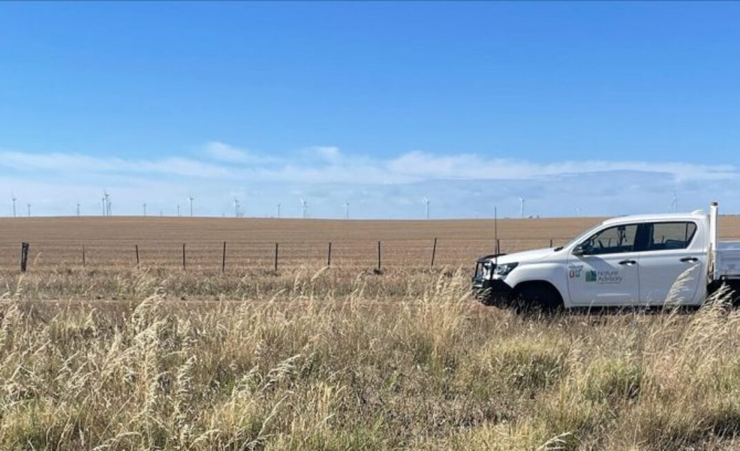 Warracknabeal wind farm hits milestone