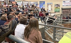 Vaccination urged as Bluetongue spread further than official maps show