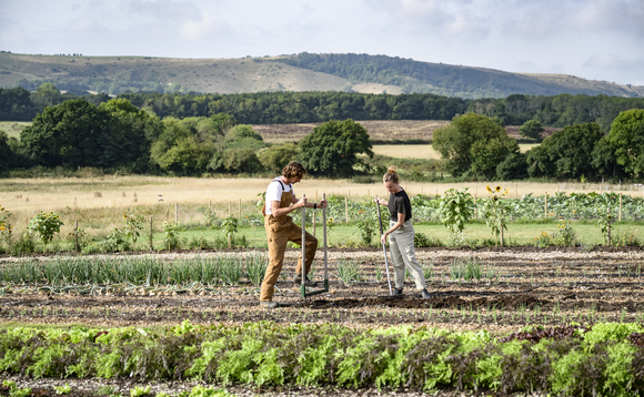 NFU Mutual launches new support to protect farmers in carbon and environmental markets