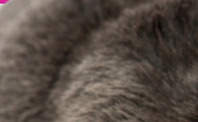 The Blind Spot in Admin Software Relationships