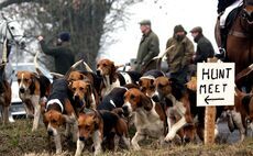 Countryside in uproar as Gov accelerates plan to ban trail hunting