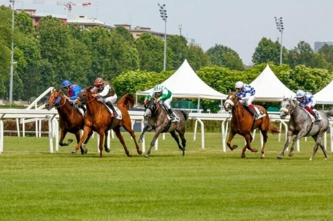 Fifth round of 32nd UAE President's Cup Series for Purebred Arabian Horses starts in Rome