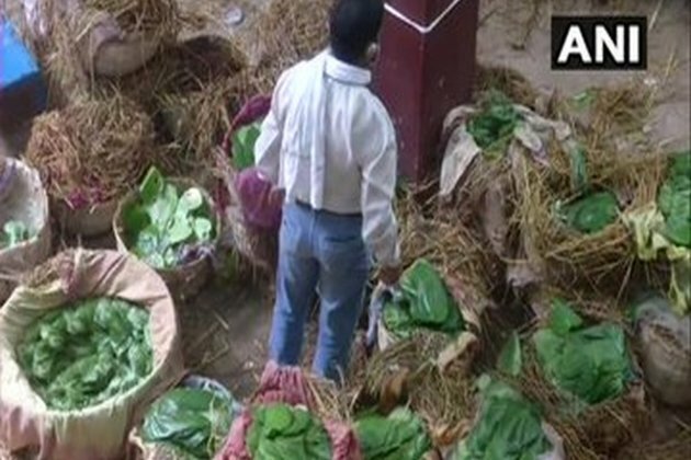 Unlock1: Business of betel leaves resumes in UP's Varanasi