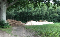 Petition calls on Government to use wool in home insulation scheme