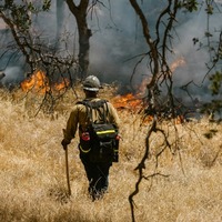 Spain, Portugal battle deadly wildfires amid record-breaking heat