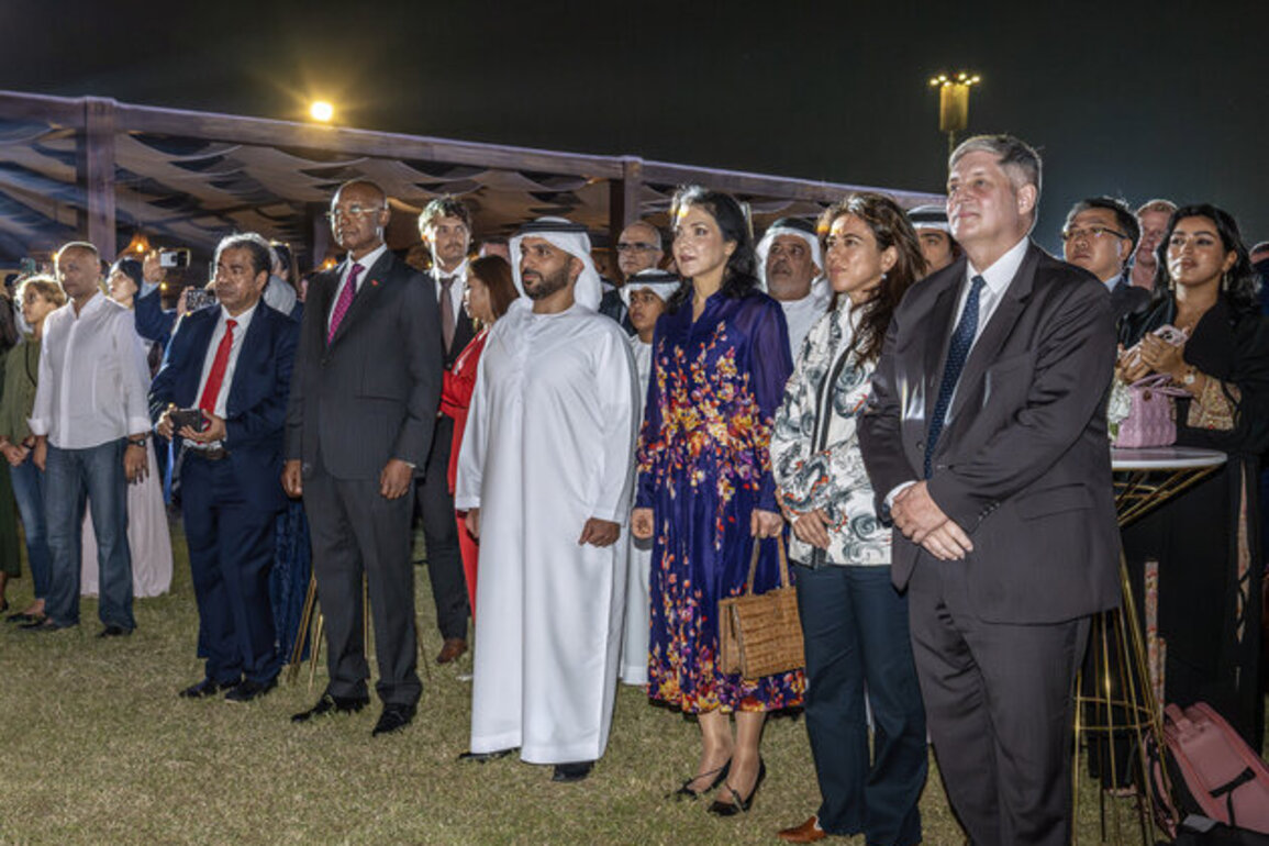 Lana Nusseibeh attends German Embassy's National Day reception