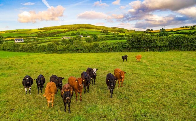 Farming should be exempt from NI net zero target, says Minister