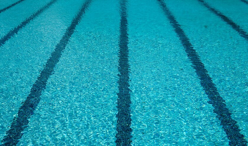 (c) Thomas Park/Unsplash 