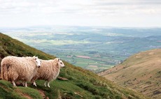 Welsh FM: UK internal market proposals 'significant step backwards' for devolution