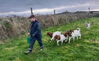 Connecting inner city children to farming is key: "A boy from London now wants to be a farmer"