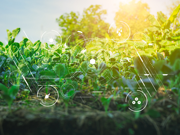 How is AI transforming emerging and frontier markets?