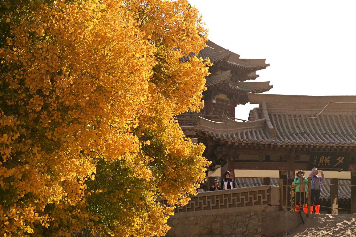 #CHINA-AUTUMN-SCENERY-TOURISM (CN)