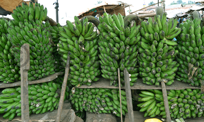 Tips on buying matooke Tips on buying matooke