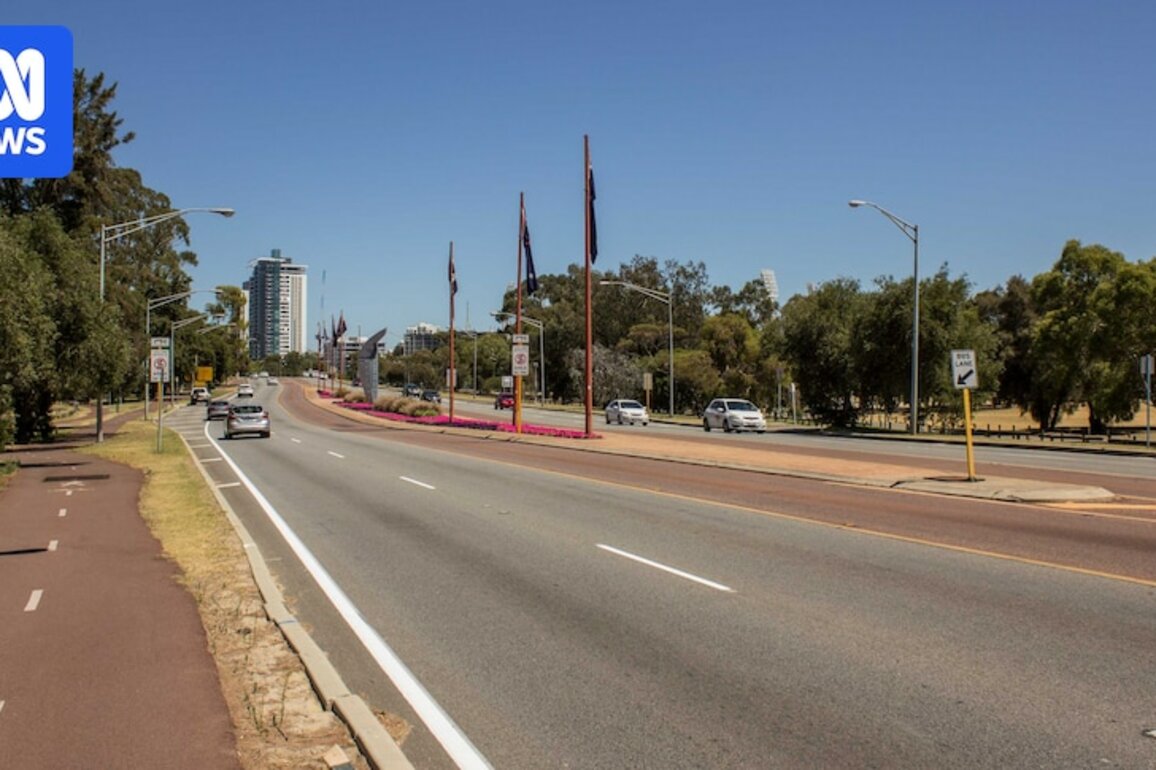 Woman dies after being struck by Transperth bus on Causeway in Perth