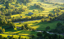 EXCLUSIVE: Investment plans on tenant farms 'stifled'