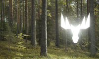 Metsä renews partnership with Grafton