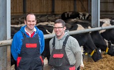 Investment in dry cow facilities