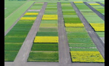  Carbon work: A long-term trial in the Victorian Wimmera region is looking at soil carbon decline. Photo courtesy Agriculture Victoria.