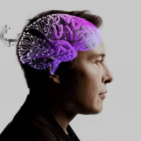 Neuralink to test brain implant in UK for spinal injury patients