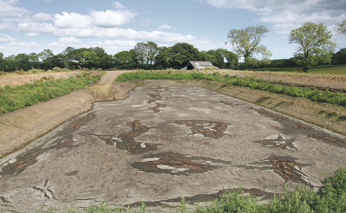 According to Northern Ireland's Environment Agency, pig slurry was 'ponding' without a collection or storage facility on site. (Generic)