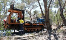 Navarre is looking for gold near Stawell.