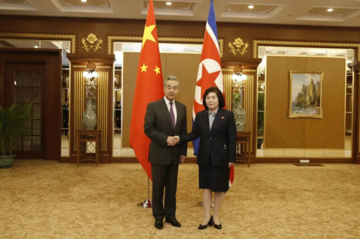 Wang Yi calls for consolidating positive momentum of China-DPRK ties
