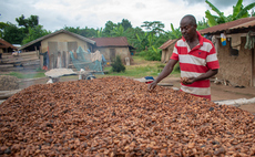 Government urged to back UK 'responsible business' law to protect cocoa farmers