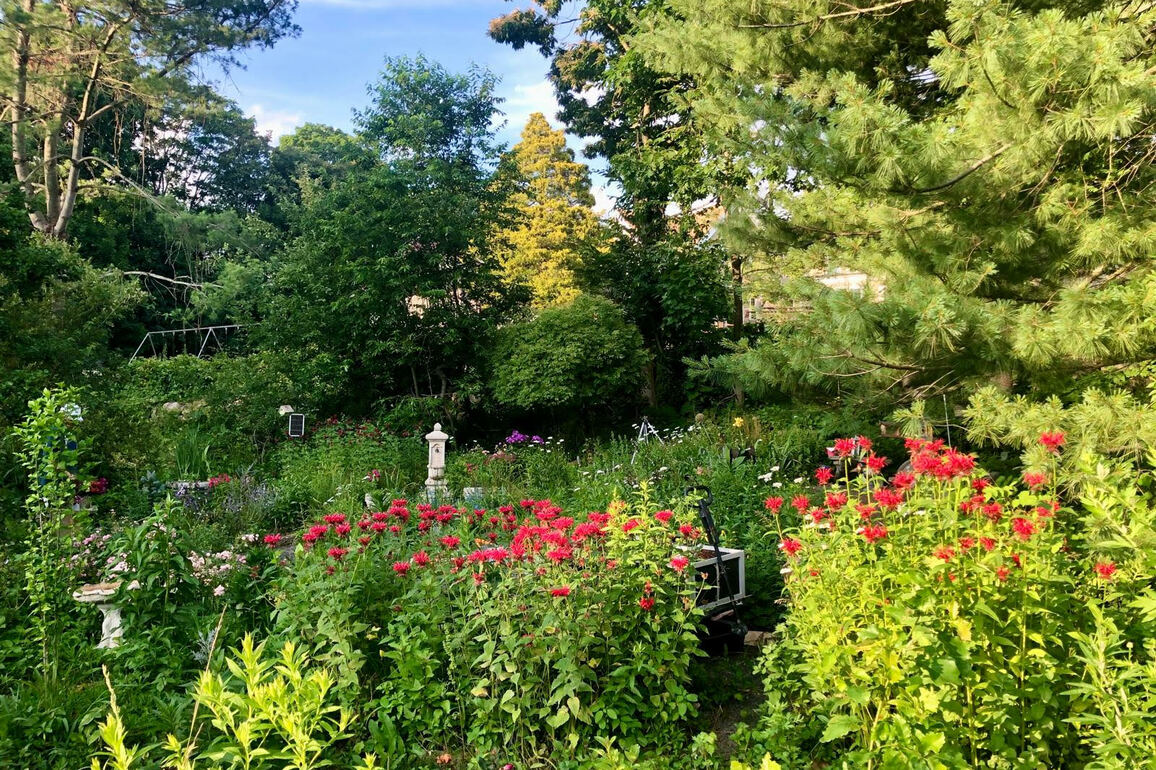Opinion- CT needs more meadows, fewer lawns
