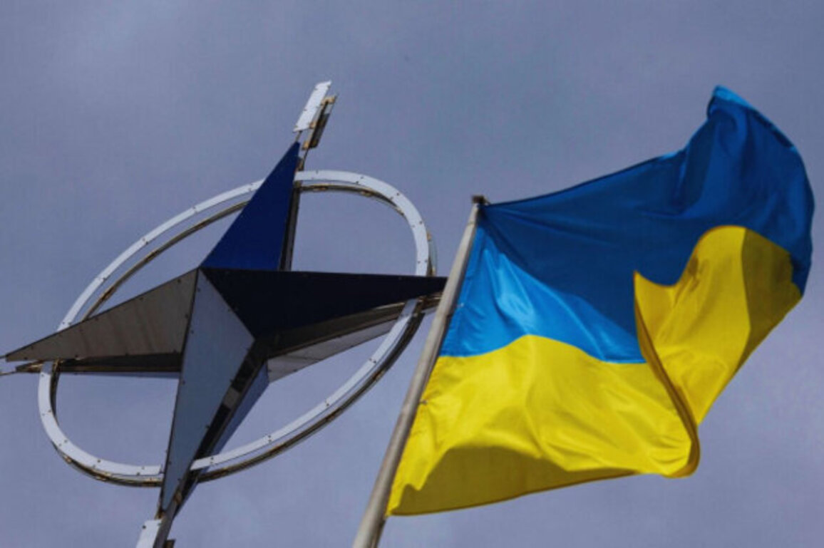 US Eyes NATO Article 5 Protection for Ukraine Amid Peace Talks