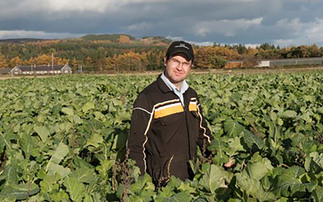 Sheep special: Feeding kale continues to deliver for Scottish estate