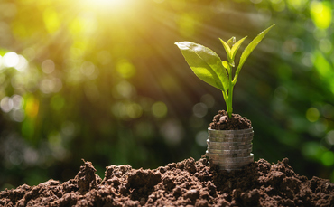 Asset manager Schroders unveils 'Plan for Nature' - Vimarsana News