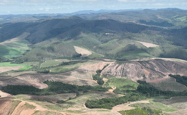 Meteoric touts Caldeira as the highest-grade ionic play deposit in the world. Credit: Meteoric Resources
