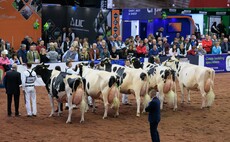 Showring history made at 10th anniversary UK Dairy Day