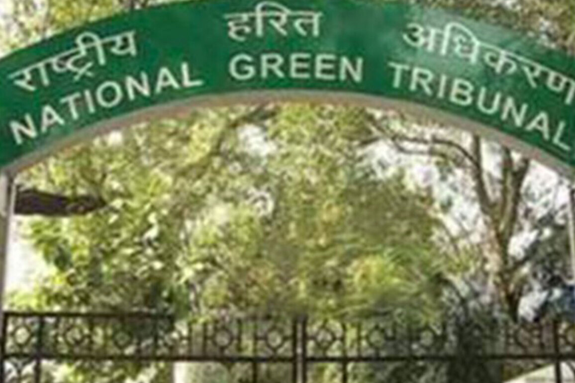 NGT orders ground verification by task force, seeks police probe report in Ghaziabad illegal mining case