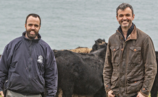 Family farming business thrives on the Lizard Peninsula in Cornwall