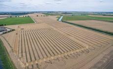 Crop trials coming to you during lockdown