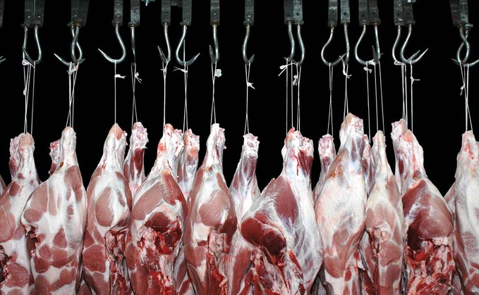 Four in 10 small abattoirs 'likely to shut' without small abattoir discount