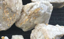 A Lady Ada gold-bearing rock sample.